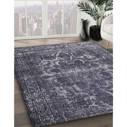 Machine Washable Traditional Silver Gray Rug in a Family Room, wshtr1918