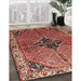 Traditional Orange Salmon Pink Persian Rug in Family Room, tr192