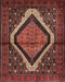 Traditional Saffron Red Persian Rug, tr1941