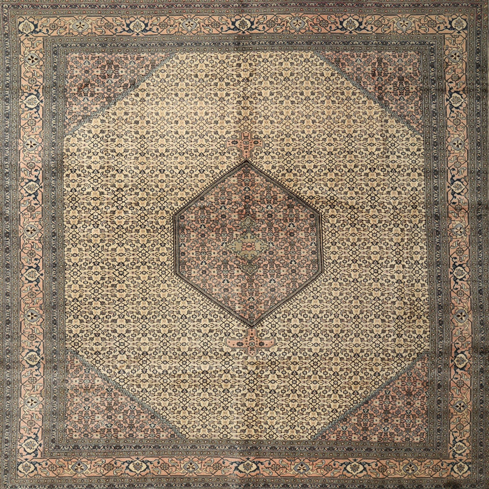 Square Traditional Dark Brown Medallion Rug, tr1956