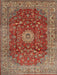 Traditional Red Medallion Rug, tr1960