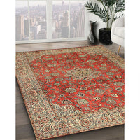 Traditional Sand Brown Medallion Rug, tr1961