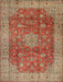 Traditional Sand Brown Medallion Rug, tr1961