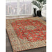 Traditional Sand Brown Medallion Rug in Family Room, tr1961