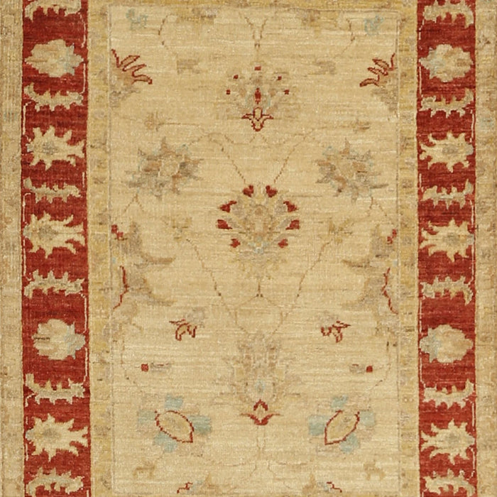 Traditional Orange Oriental Rug, tr1963