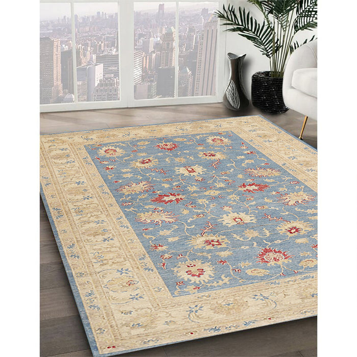 Traditional Brown Oriental Rug in Family Room, tr1976