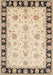 Machine Washable Traditional Dark Almond Brown Rug, wshtr1981