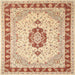 Square Traditional Brown Gold Persian Rug, tr1983