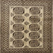 Round Machine Washable Traditional Brown Green Rug, wshtr1986