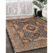 Machine Washable Traditional Camel Brown Rug in a Family Room, wshtr19