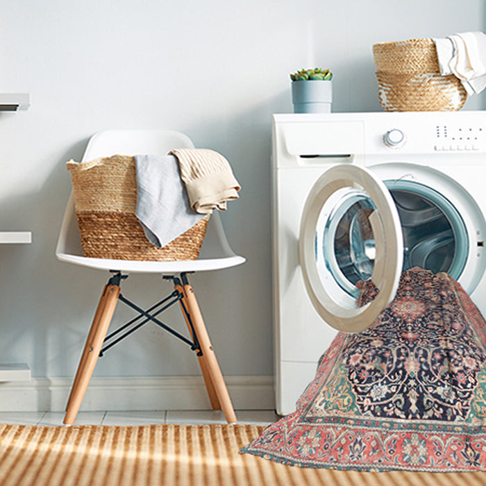 Machine Washable Traditional Light French Beige Brown Rug in a Washing Machine, wshtr200