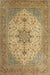 Traditional Light Brown Persian Rug, tr2014