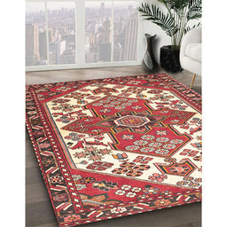 Traditional Red Persian Rug in Family Room, tr202
