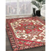 Traditional Red Persian Rug in Family Room, tr202
