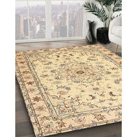 Traditional Brown Gold Persian Rug, tr2045