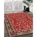 Traditional Orange Salmon Pink Persian Rug in Family Room, tr2046