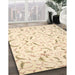 Traditional Golden Blonde Gold Persian Rug in Family Room, tr2050