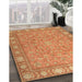 Traditional Orange Persian Rug in Family Room, tr2056