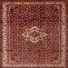 Square Traditional Rust Pink Persian Rug, tr205