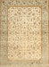 Traditional Gold Oriental Rug, tr2064