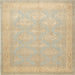 Square Traditional Brown Persian Rug, tr2069