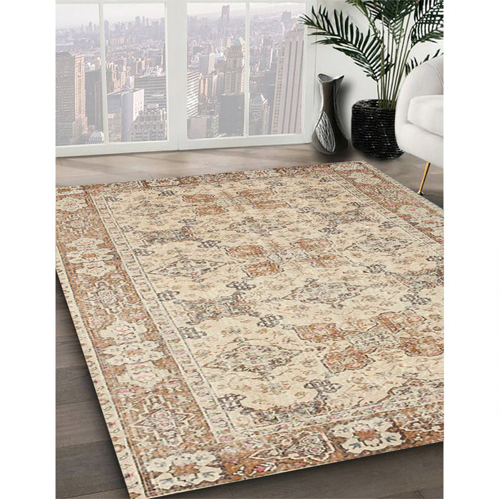 Traditional Brown Persian Rug in Family Room, tr2072