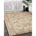 Machine Washable Traditional Brown Rug in a Family Room, wshtr2072