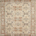 Square Traditional Brown Persian Rug, tr2072