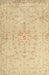 Traditional Brown Gold Persian Rug, tr2076