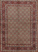 Machine Washable Traditional Camel Brown Rug, wshtr207