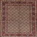 Square Traditional Camel Brown Persian Rug, tr207