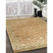 Machine Washable Traditional Cinnamon Brown Rug in a Family Room, wshtr2083