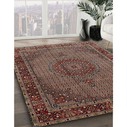 Traditional Camel Brown Persian Rug in Family Room, tr208