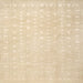 Square Traditional Khaki Gold Persian Rug, tr2098