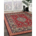 Traditional Orange Salmon Pink Medallion Rug in Family Room, tr20