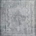 Square Traditional Platinum Gray Persian Rug, tr2103