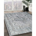 Traditional Platinum Gray Persian Rug in Family Room, tr2103