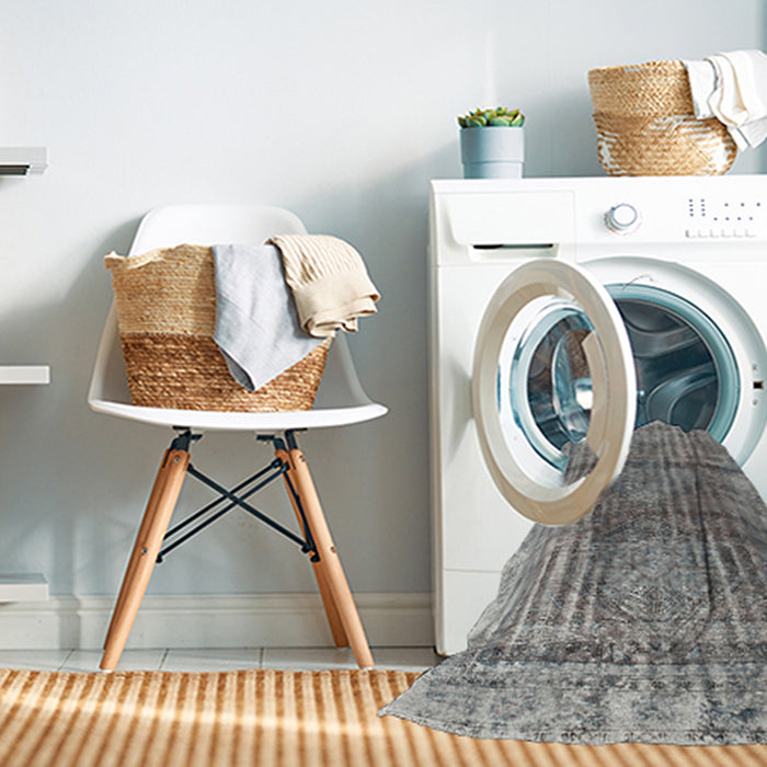 Machine Washable Traditional Ash Gray Rug in a Washing Machine, wshtr2104