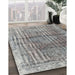 Machine Washable Traditional Ash Gray Rug in a Family Room, wshtr2104