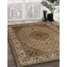 Traditional Brown Medallion Rug in Family Room, tr2108