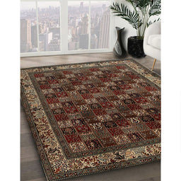 Machine Washable Traditional Dark Almond Brown Rug in a Family Room, wshtr210
