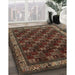 Machine Washable Traditional Dark Almond Brown Rug in a Family Room, wshtr210