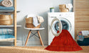 Machine Washable Traditional Red Rug in a Washing Machine, wshtr2111