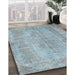 Machine Washable Traditional Light Slate Gray Rug in a Family Room, wshtr2115