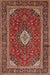 Traditional Orange Brown Medallion Rug, tr2123