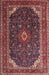 Traditional Dark Almond Brown Persian Rug, tr2126