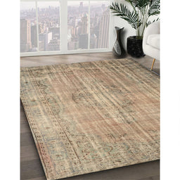 Traditional Dark Almond Brown Persian Rug in Family Room, tr2127