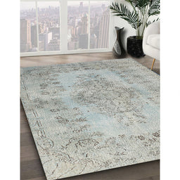 Traditional Silver Gray Persian Rug in Family Room, tr2130