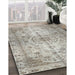 Traditional Khaki Green Persian Rug in Family Room, tr2137