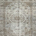 Square Traditional Khaki Green Persian Rug, tr2137